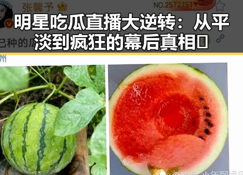 明星吃瓜直播大逆转：从平淡到疯狂的幕后真相✨